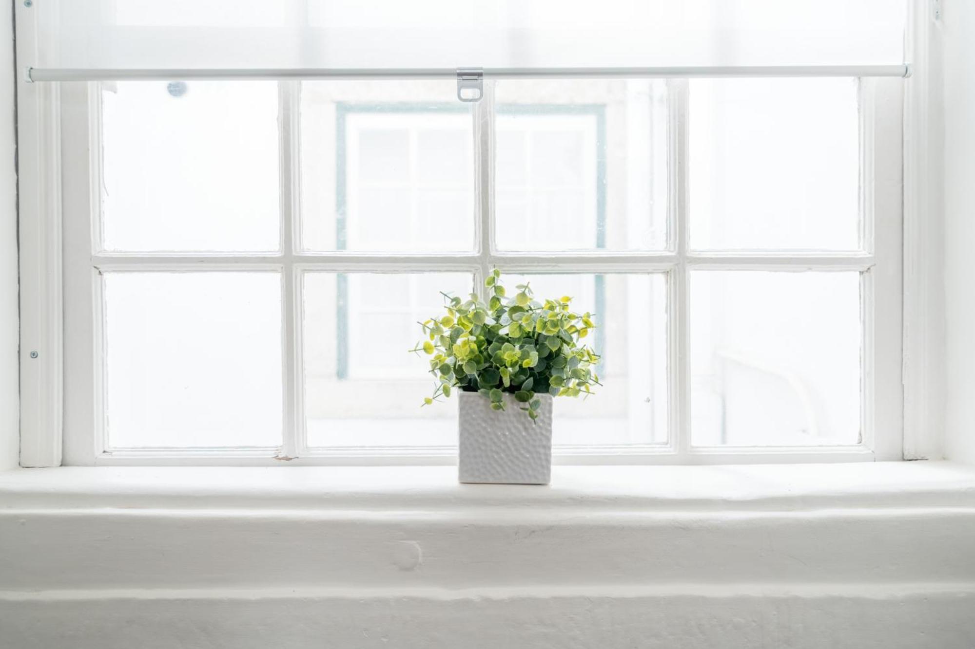 Pedrasnegras30 Lisbon Lofts & Apartments 部屋 写真